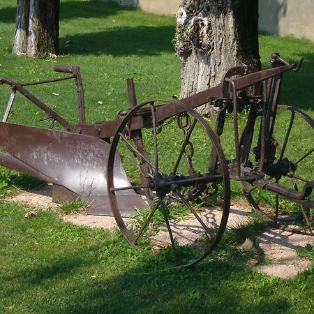Agriturismo Le Cipressine Meolo Εξωτερικό φωτογραφία