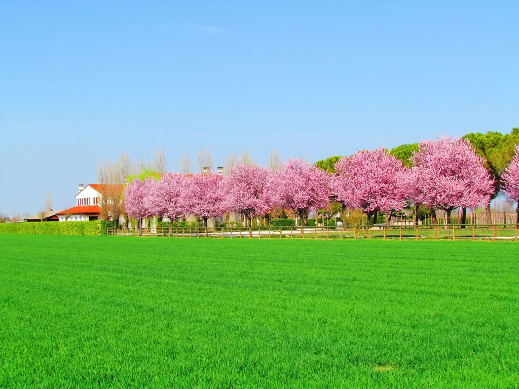 Agriturismo Le Cipressine Meolo Εξωτερικό φωτογραφία