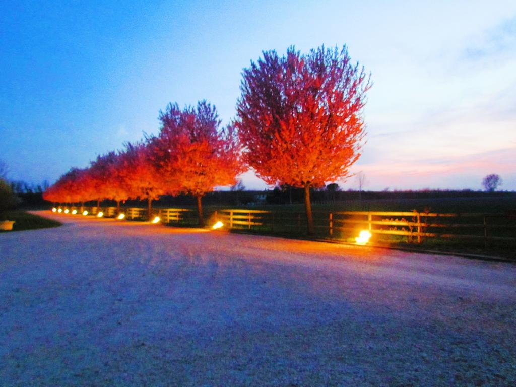 Agriturismo Le Cipressine Meolo Εξωτερικό φωτογραφία