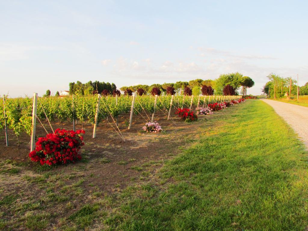 Agriturismo Le Cipressine Meolo Εξωτερικό φωτογραφία